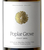 Poplar Grove Winery Pinot Gris 1.5L 2016